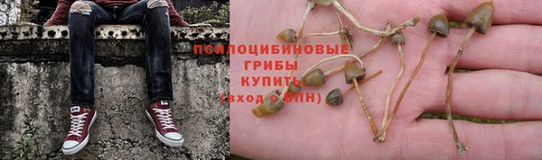 метамфетамин Верея