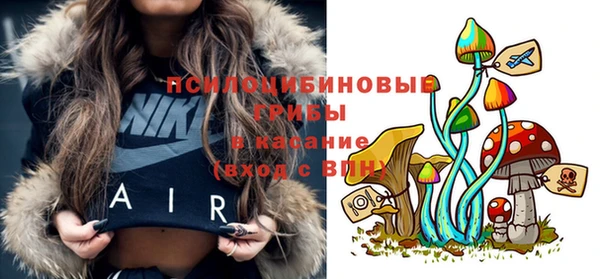 крисы Верхний Тагил