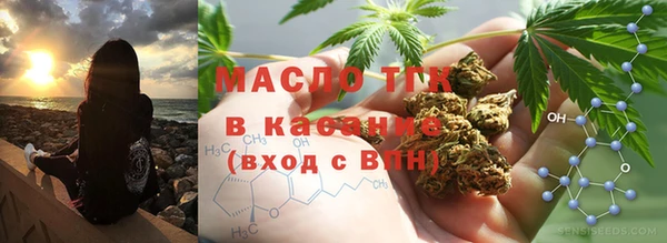 крисы Верхний Тагил