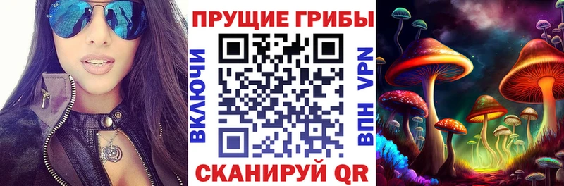 Купить  Светлый  Псилоцибиновые грибы MAGIC MUSHROOMS 